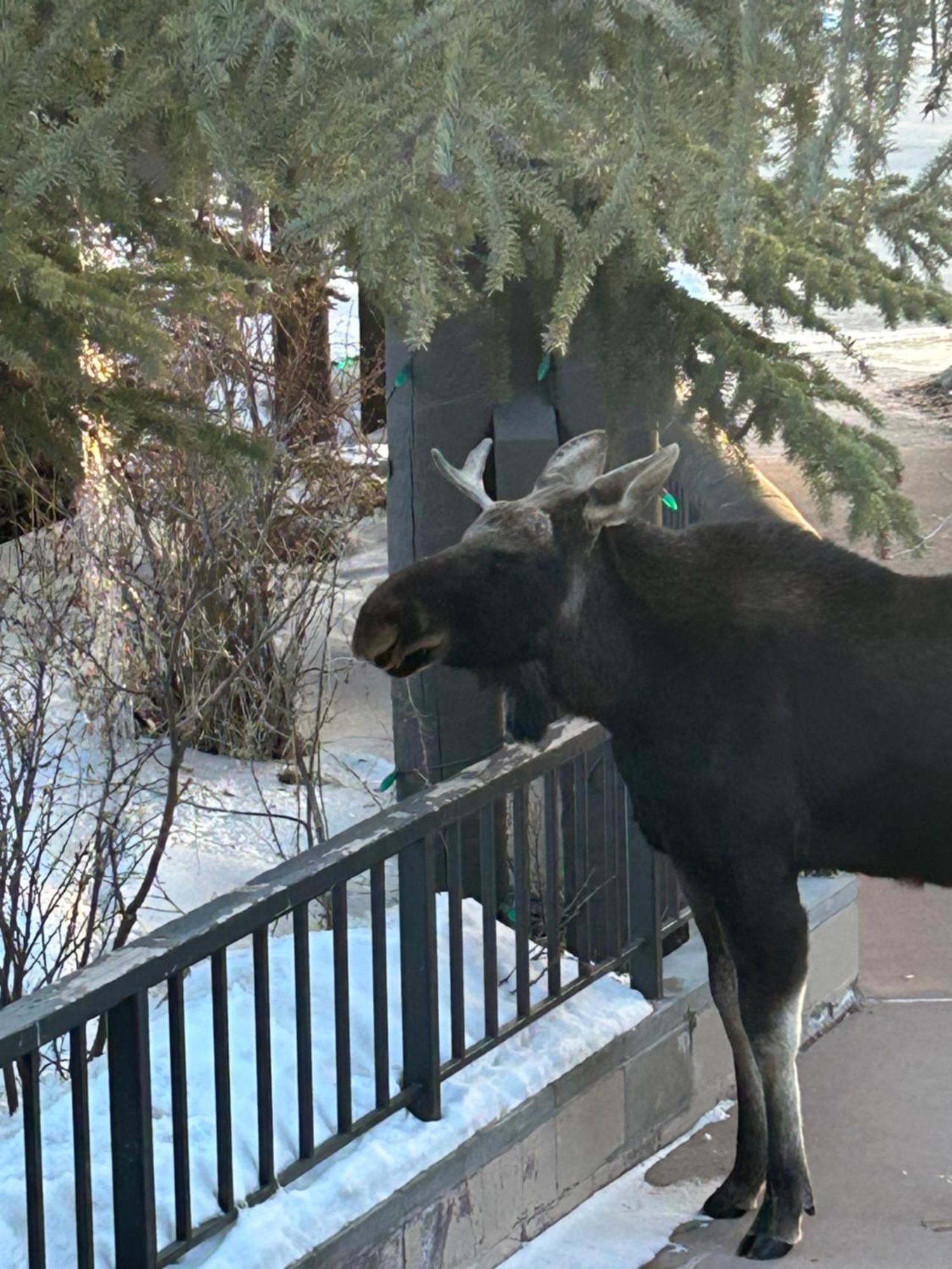 Trappers Crossing 8753 By Summitcove Lodging Кийстоун Екстериор снимка